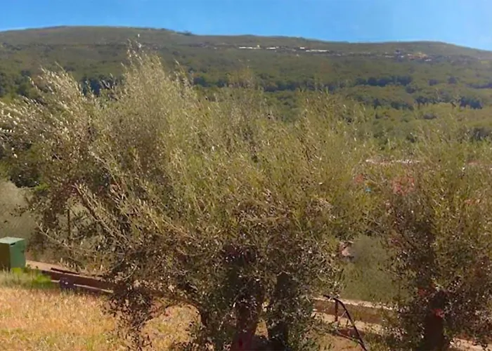 公寓 Lovely In With Wifi